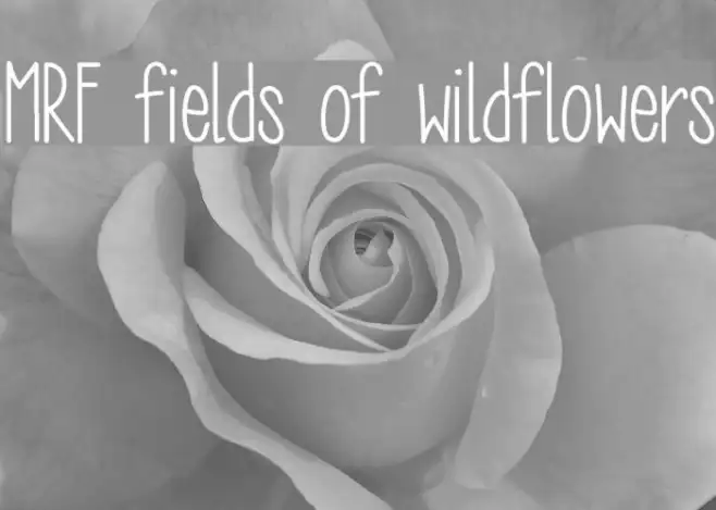 MRF fields of wildflowers Example 2