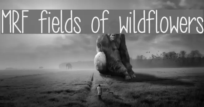 MRF fields of wildflowers Example 3