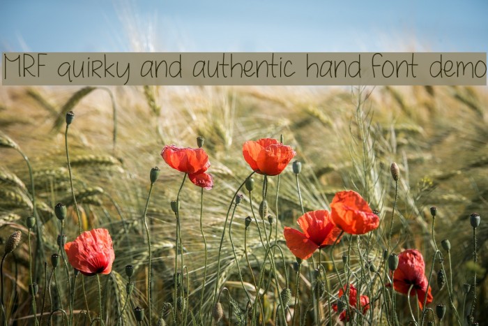 MRF quirky and authentic hand font demo Font examples
