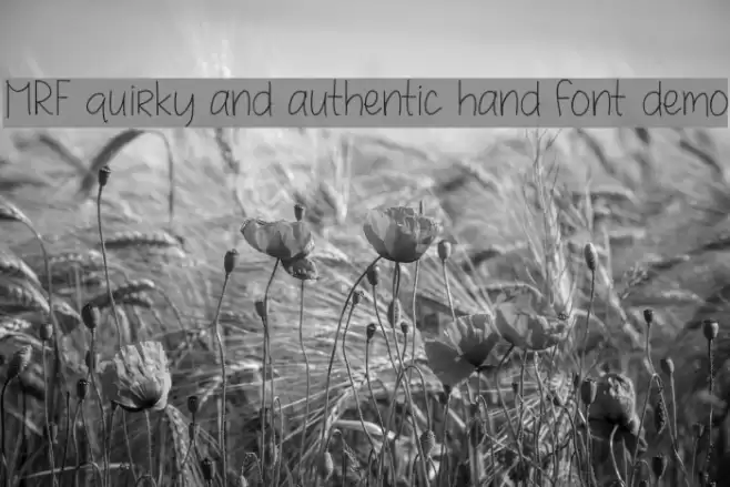 MRF quirky and authentic hand font demo Font examples