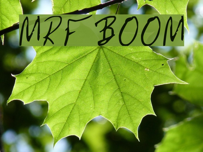 MRFBOOM Font examples