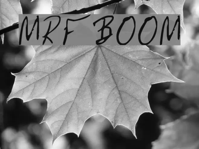 MRFBOOM Example 3