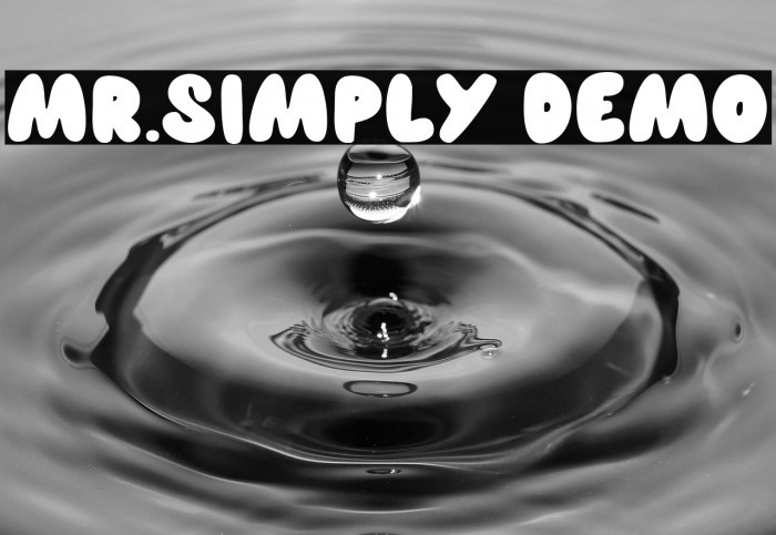 MR.SIMPLY Demo Example 2