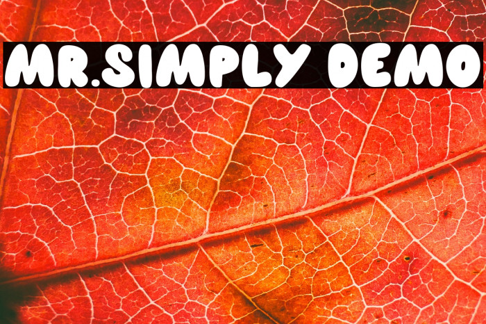 MR.SIMPLY Demo Example 3