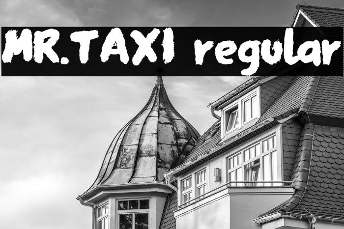 MR.TAXI regular Example 3