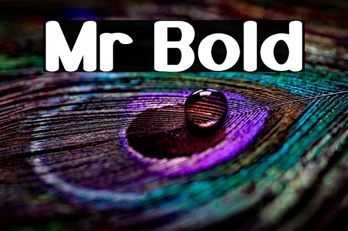 Mr Bold Example 3
