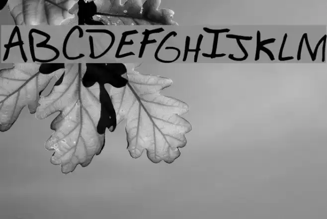 Mr. Calcium Font examples