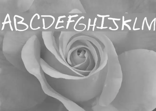 Mr. Calcium Font examples