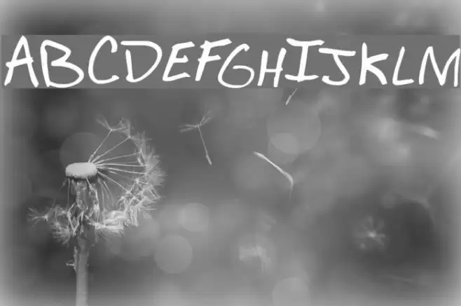 Mr. Calcium Font examples