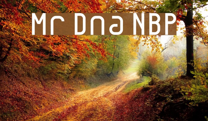 Mr Dna NBP Font examples