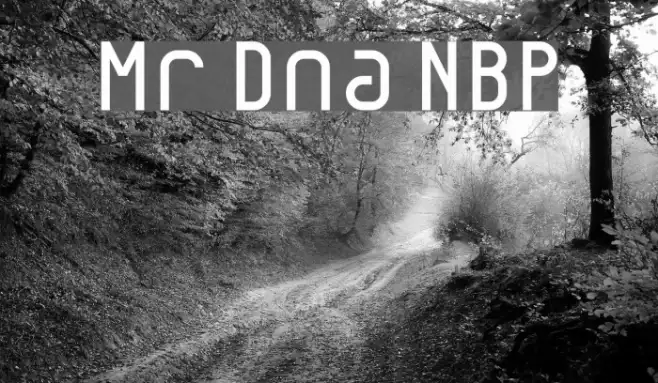 Mr Dna NBP Example 1