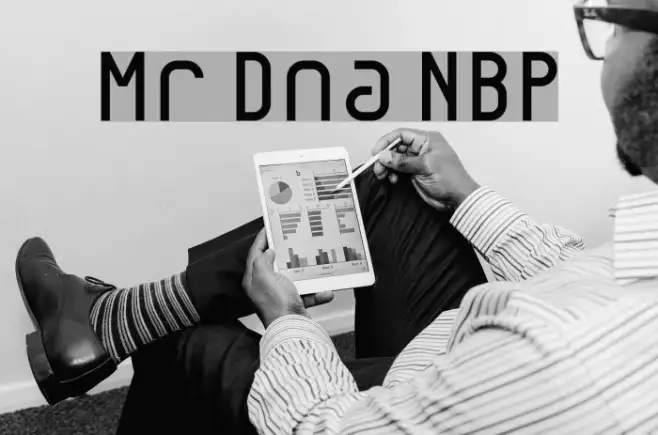 Mr Dna NBP Example 2