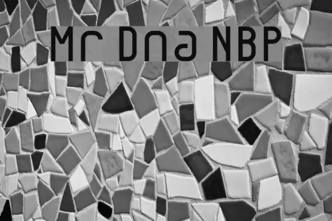Mr Dna NBP Example 3