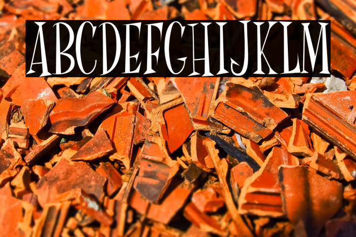 Mr Fink Font examples