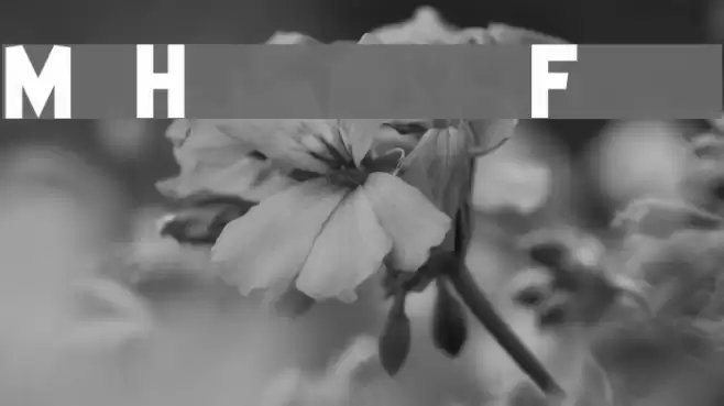 Mr Headlines Fancy Font examples