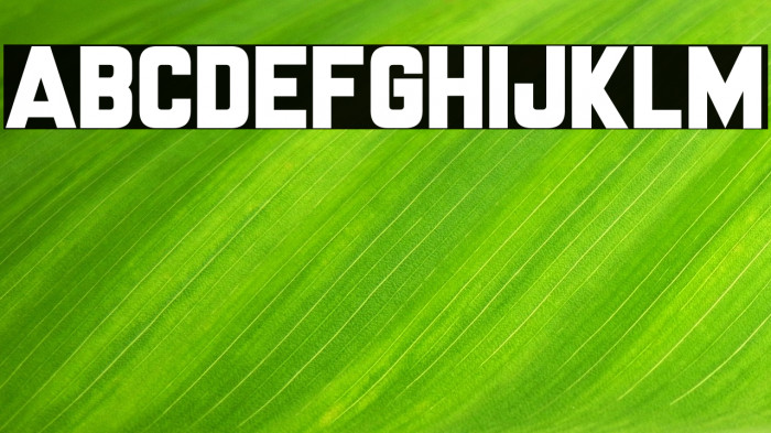 Mr Headlines Example 1