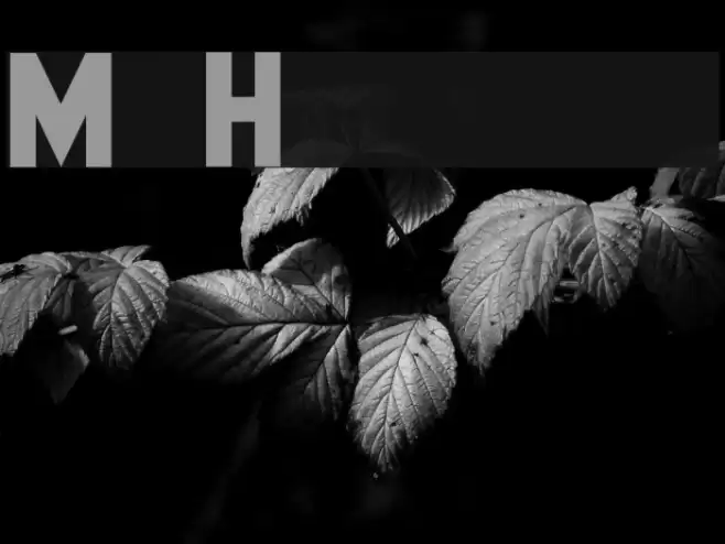 Mr Headlines Font examples