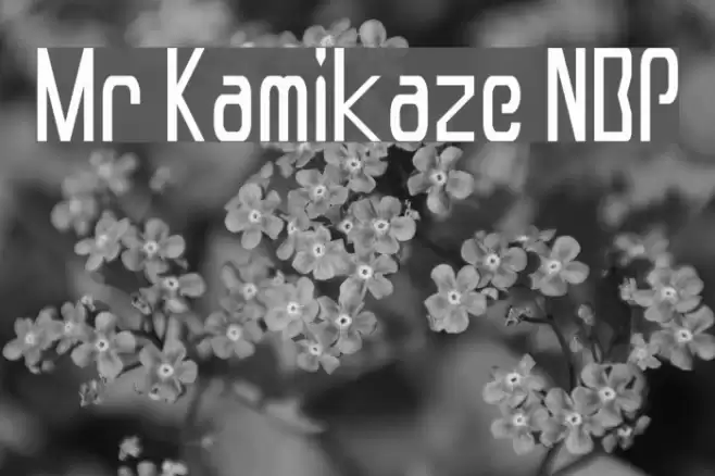 Mr Kamikaze NBP Font examples
