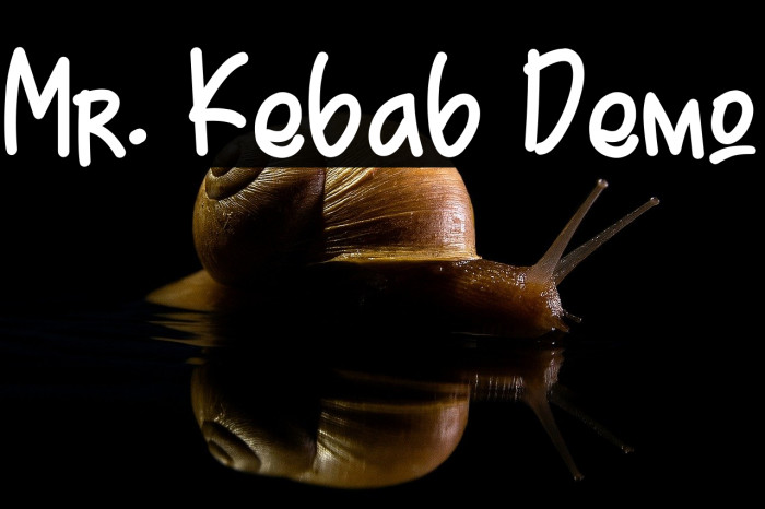 Mr. Kebab Demo Example 1