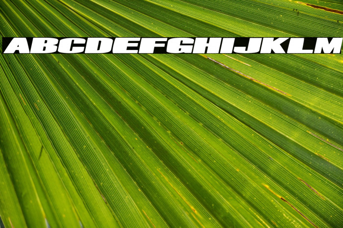 Mr. Machine Italic Example 2