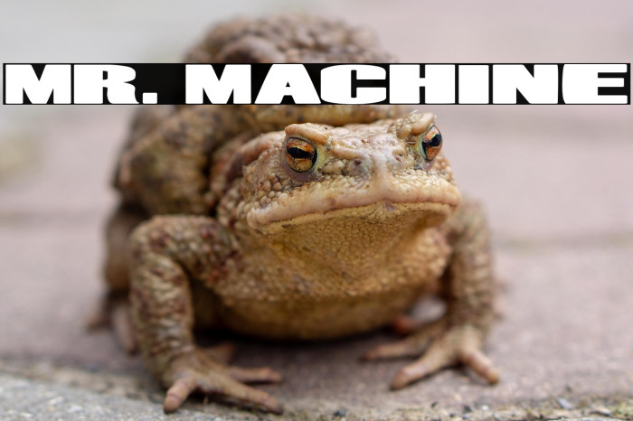 Mr. Machine Example 3