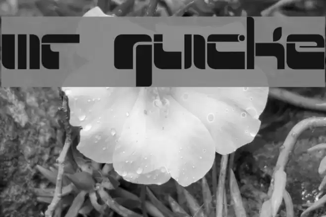 Mr Quicke Font examples