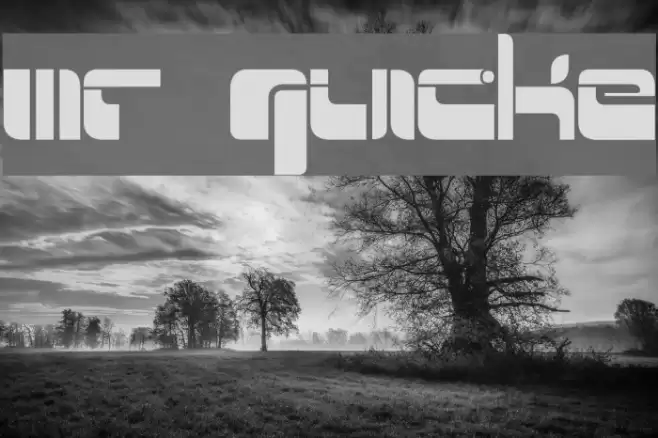 Mr Quicke Font examples