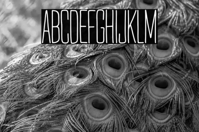 Mr. Quincy Regular Font examples