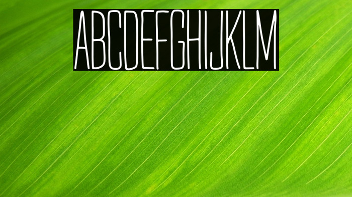 Mr. Quincy Regular Example 2