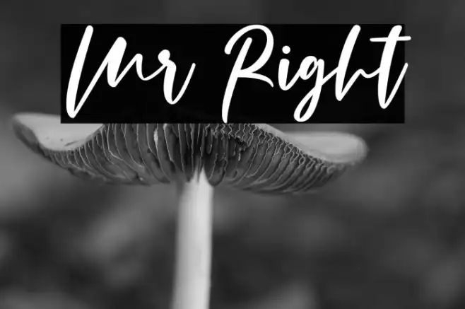 Mr Right Example 2