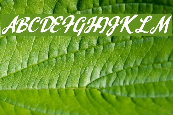 Mr. Spontaneous Font examples