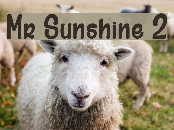 Mr Sunshine 2 Font examples