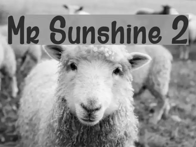 Mr Sunshine 2 Example 1