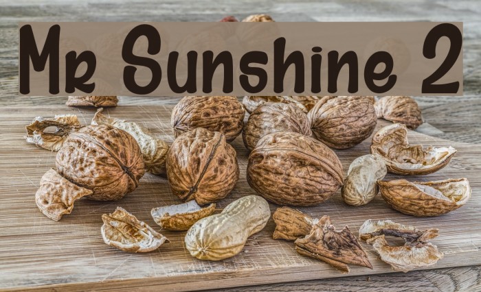 Mr Sunshine 2 Font examples