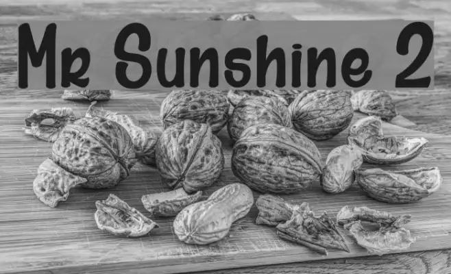 Mr Sunshine 2 Example 2