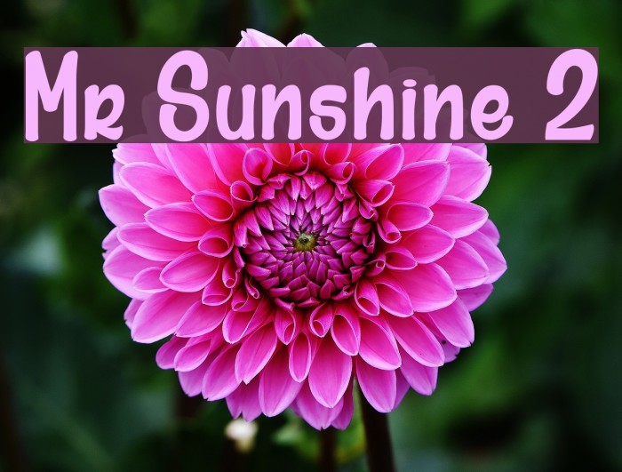 Mr Sunshine 2 Font examples