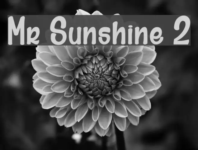 Mr Sunshine 2 Example 3