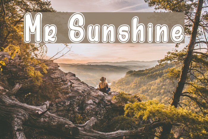 Mr Sunshine Font examples