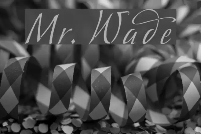 Mr. Wade フォント examples