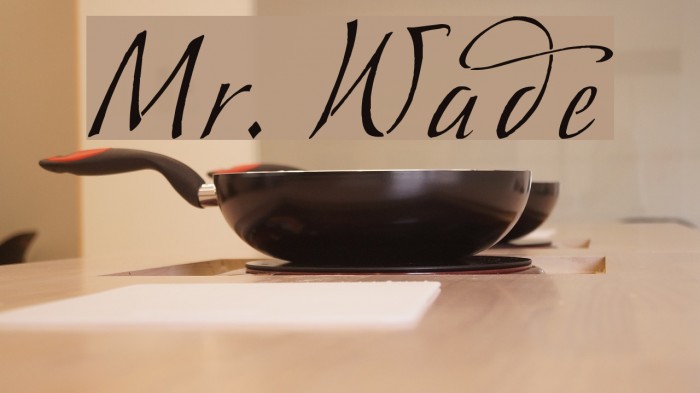 Mr. Wade Font examples
