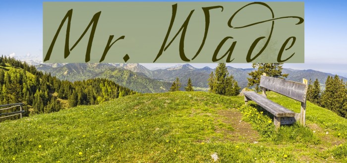 Mr. Wade Font examples