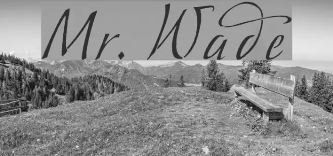 Mr. Wade フォント examples