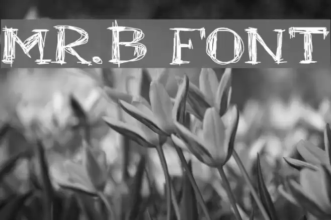 Mr.B Font examples