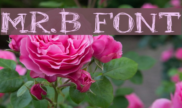 Mr.B Font examples
