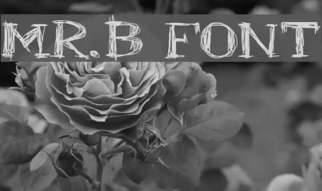 Mr.B Font examples