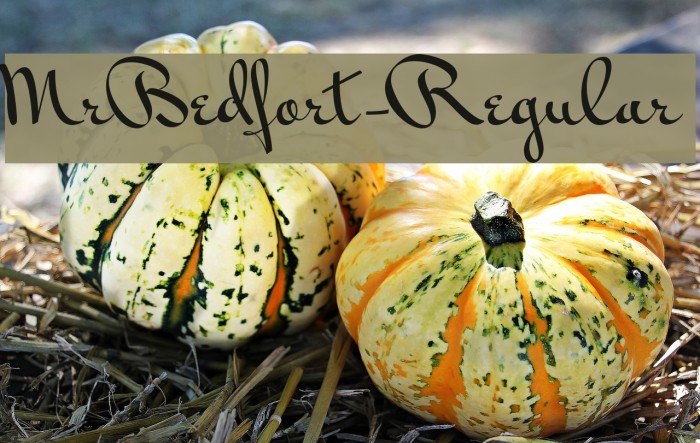 MrBedfort-Regular Font examples