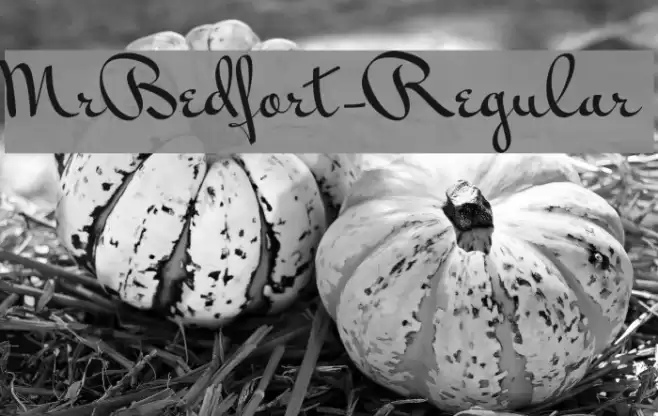 MrBedfort-Regular Polices examples