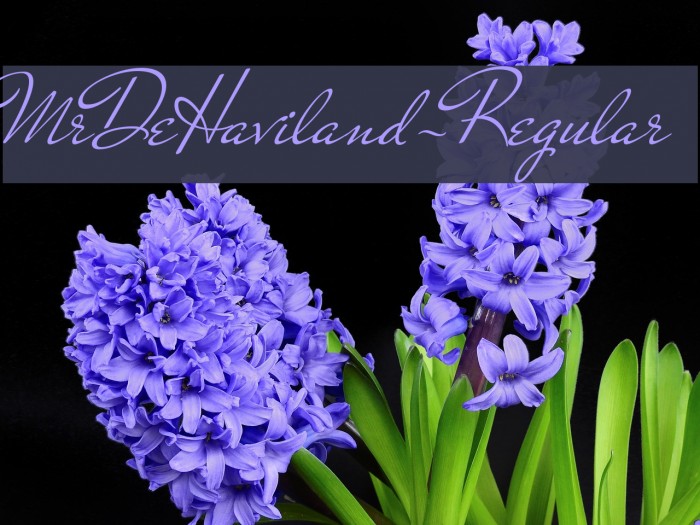 MrDeHaviland-Regular Font examples