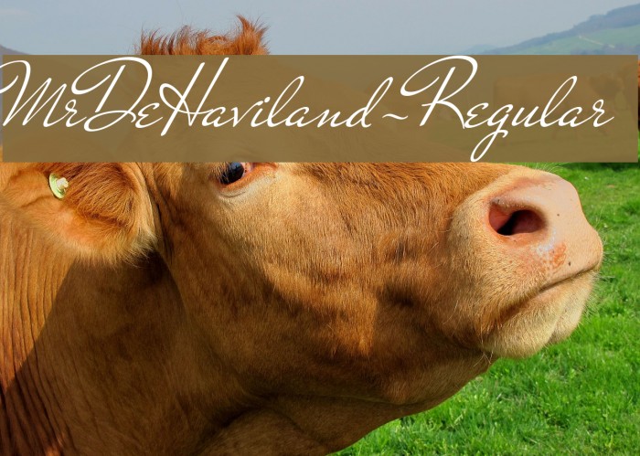 MrDeHaviland-Regular Font examples