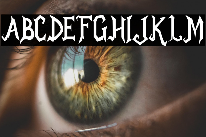 Mr.Draculle Example 1